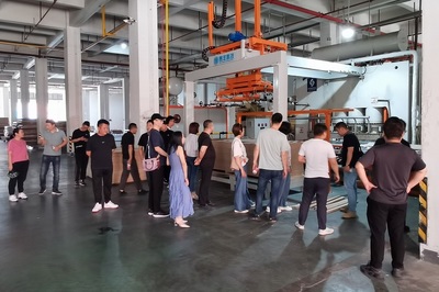 深化合作·共谋发展——南京战略合作定制工厂一行莅临大王椰考察交流